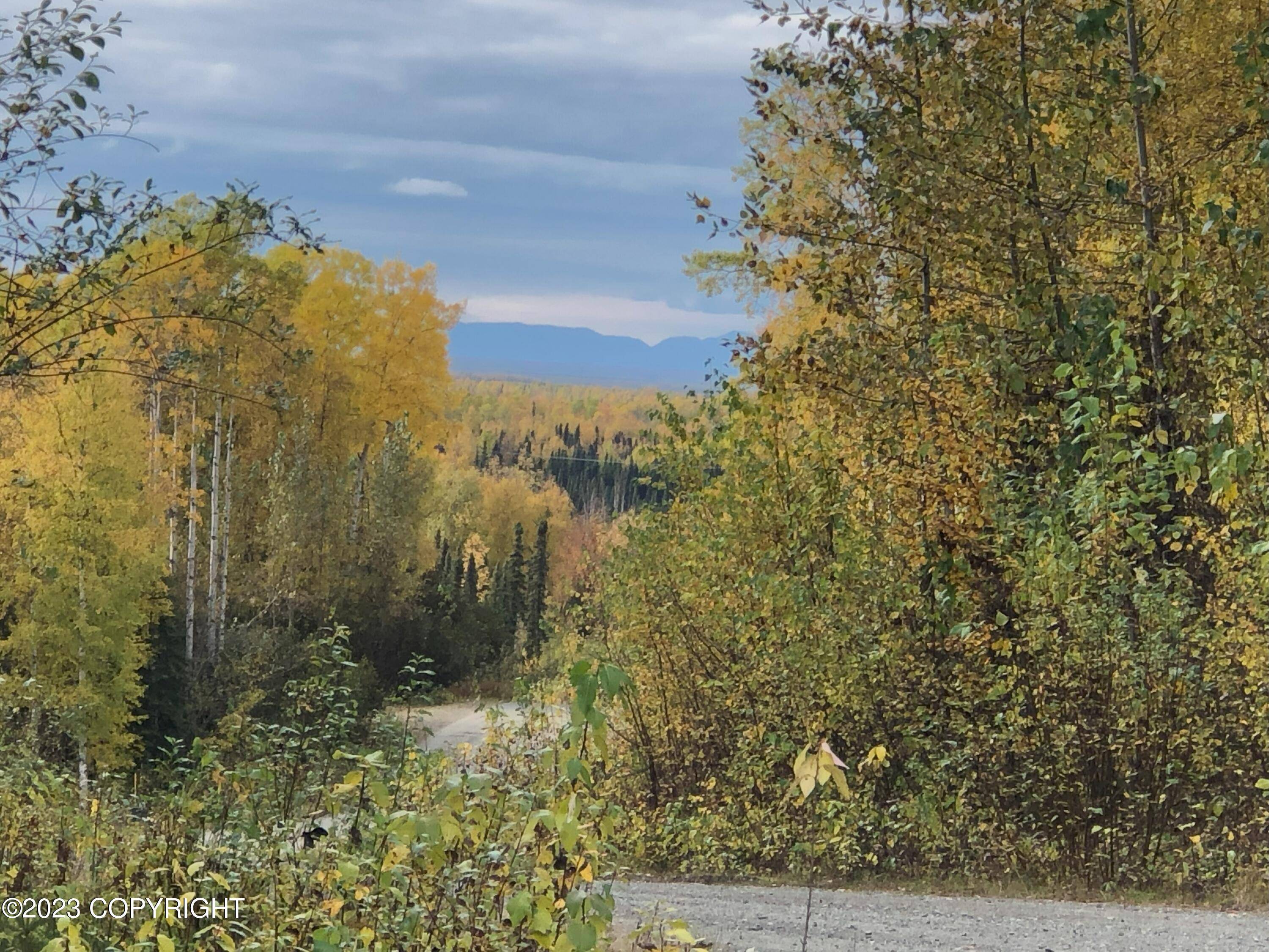 Willow, AK 99688,21626 W Bow Tie LOOP