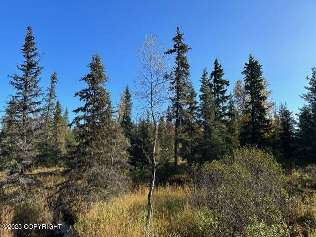 Ninilchik, AK 99639,68302 Sunshine DR