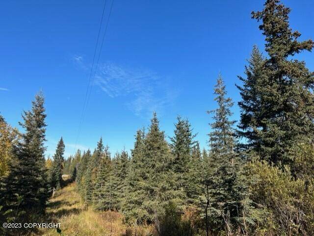 Ninilchik, AK 99639,68302 Sunshine DR