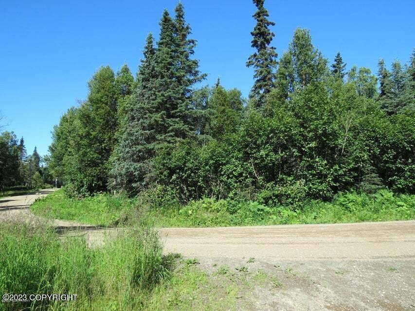 Nikiski/north Kenai, AK 99635,L9 B1 Kuskokwim AVE