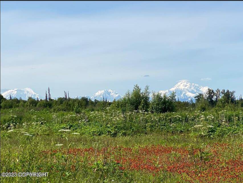 Trapper Creek, AK 99683,9783 E Two Block RD