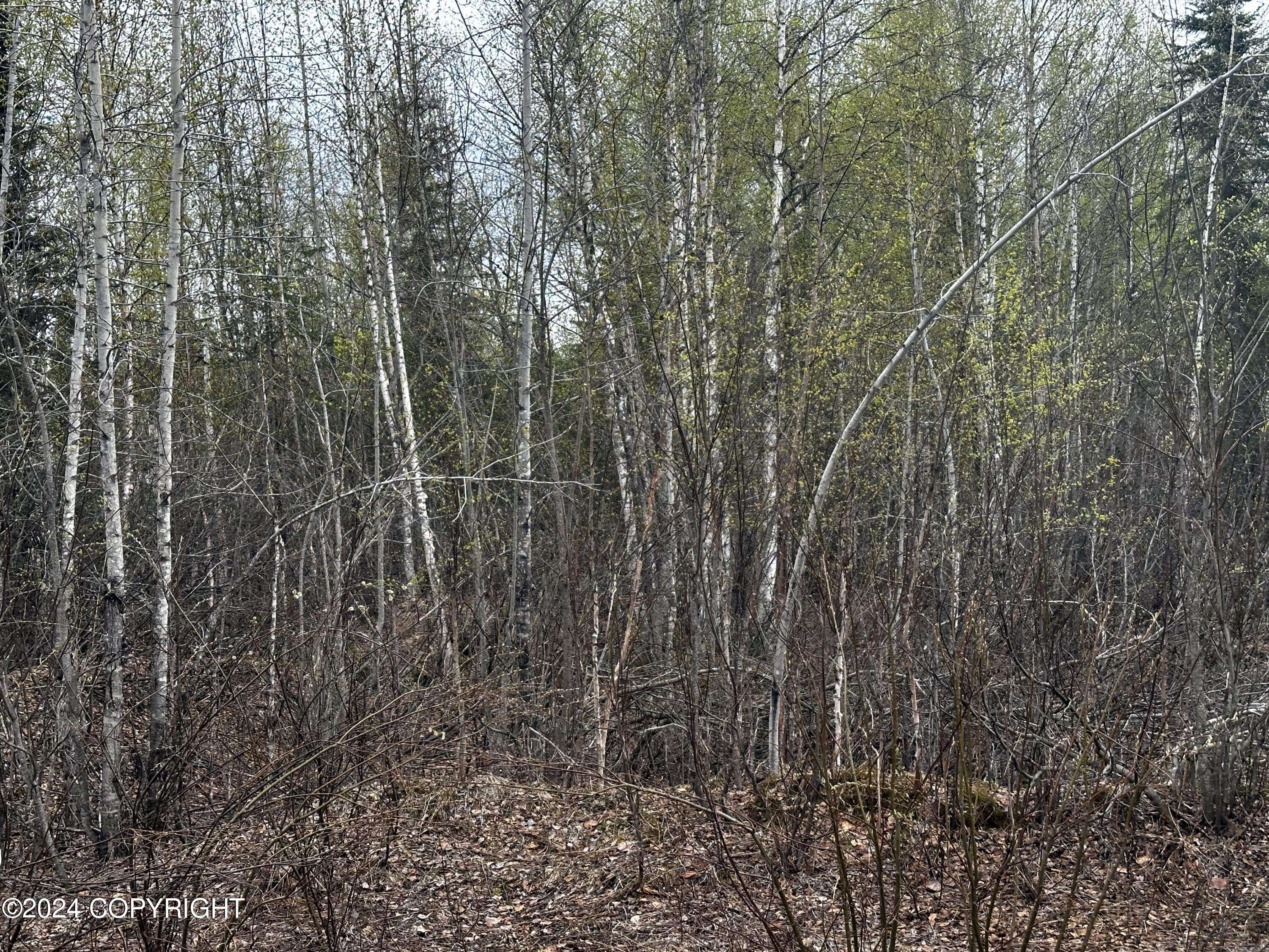 Willow, AK 99688,12815 Barrington LOOP