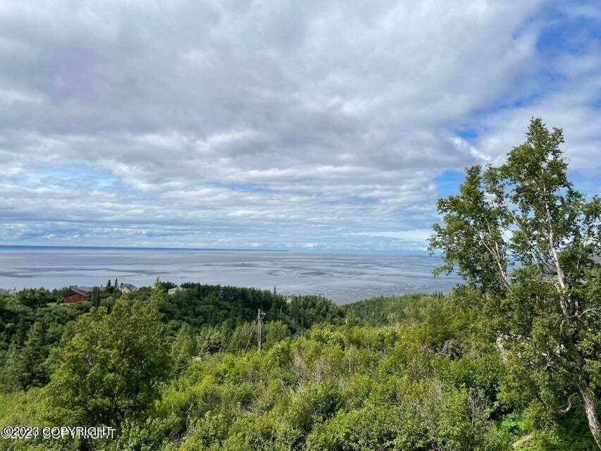 Anchorage, AK 99516,6130 Romania DR