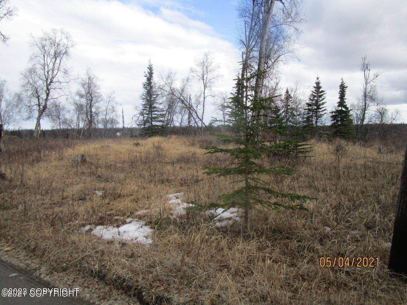 Ninilchik, AK 99639,Tract B1-B Oil Well RD