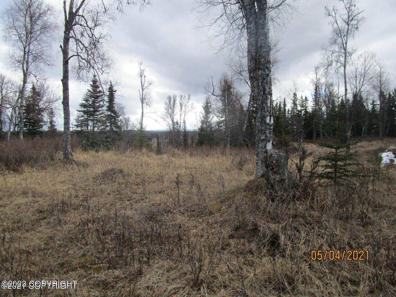 Ninilchik, AK 99639,Tract B1-B Oil Well RD