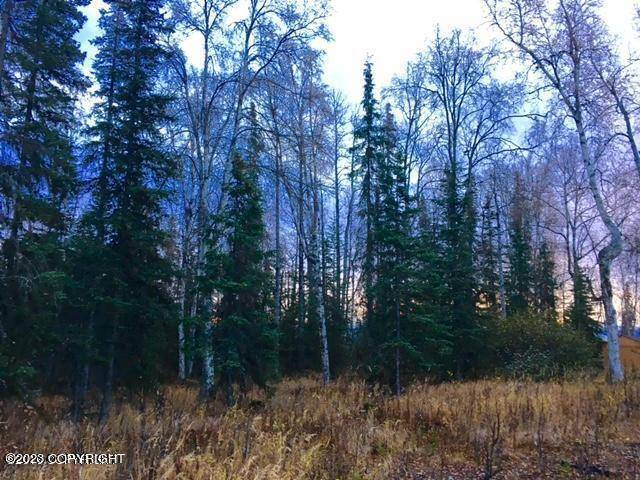 Kenai, AK 99611,165 Phillips DR