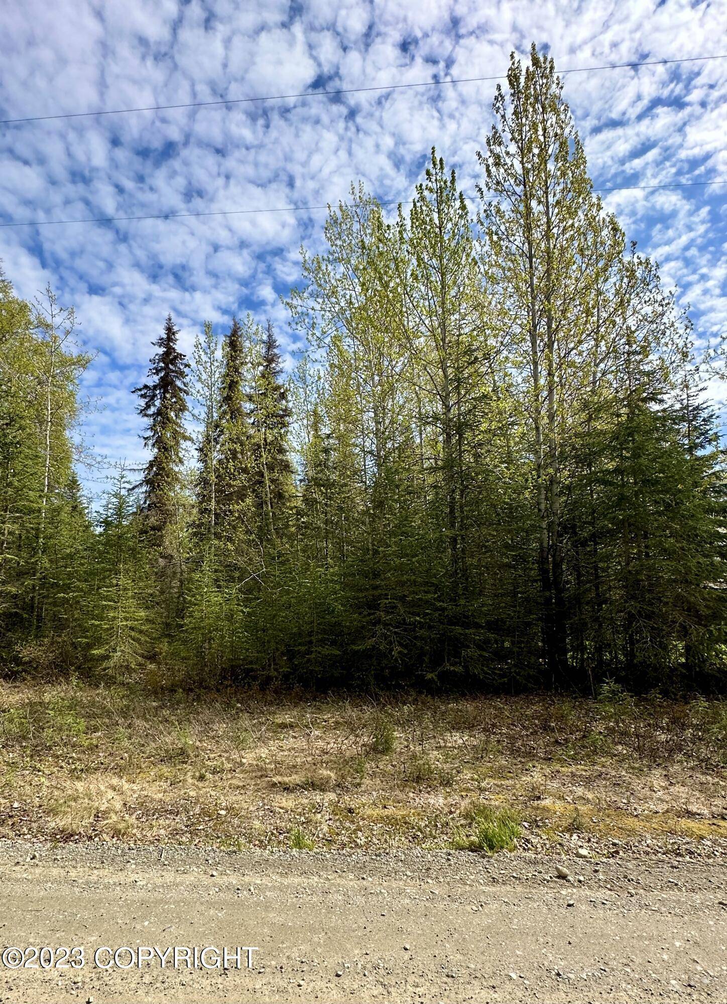 Nikiski/north Kenai, AK 99635,47766 Baranoff DR