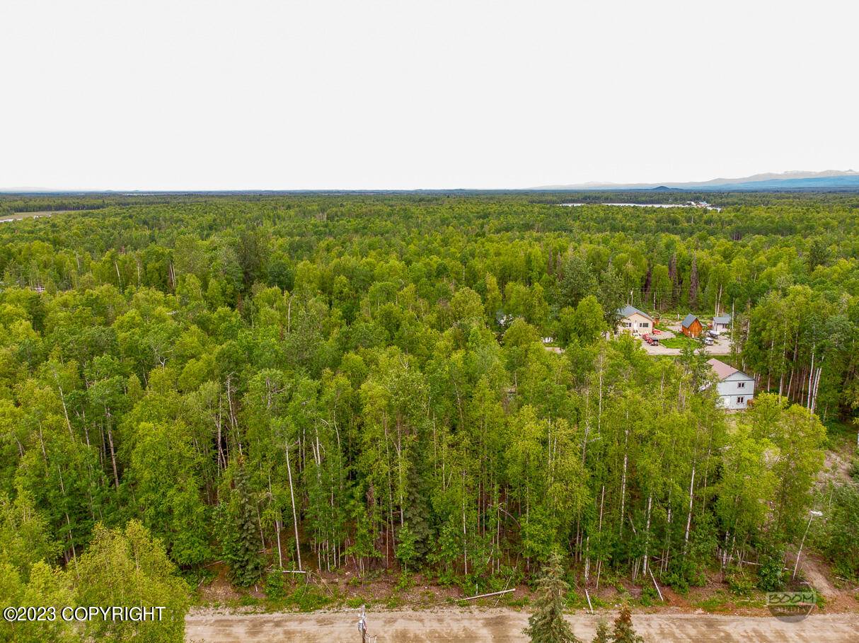 Willow, AK 99688,24622 N Otter Lake LOOP