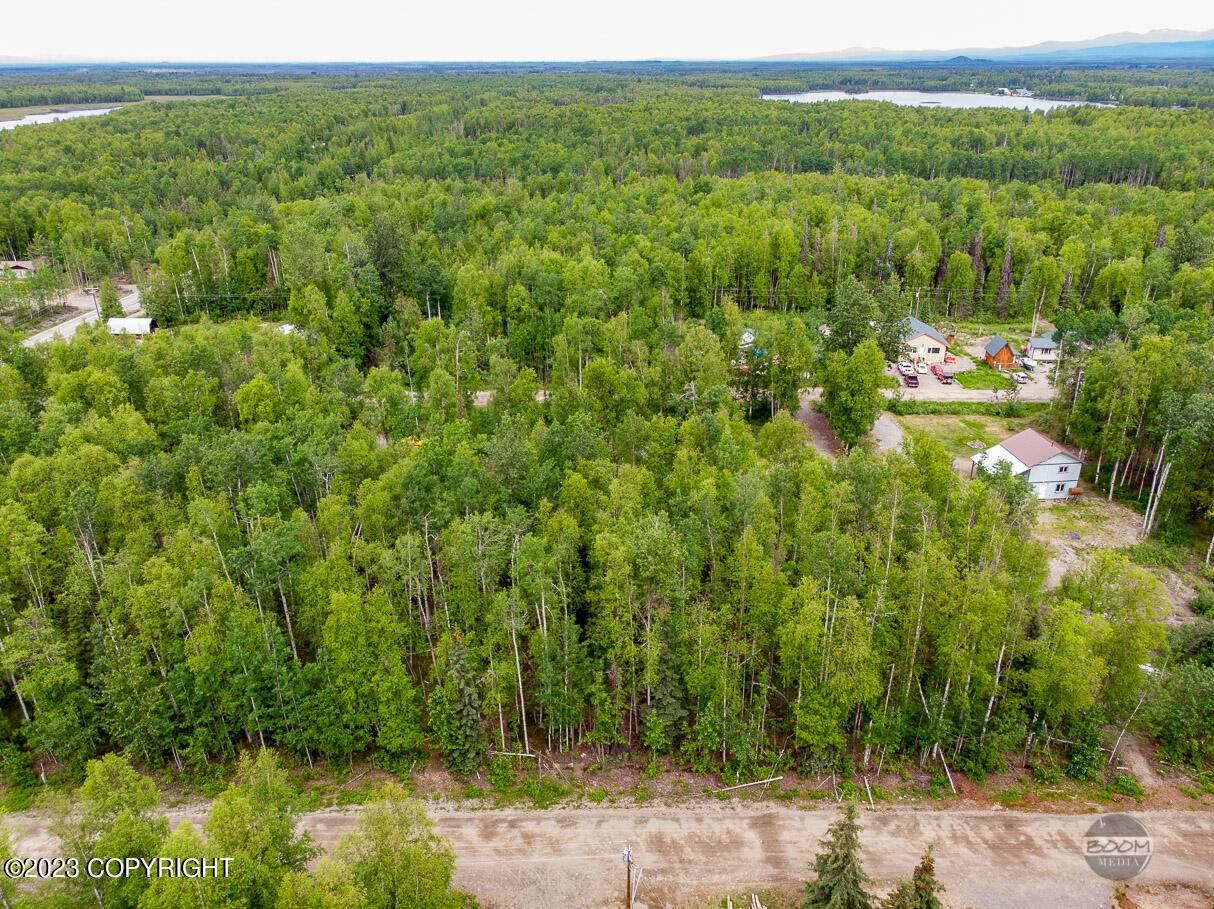 Willow, AK 99688,24622 N Otter Lake LOOP