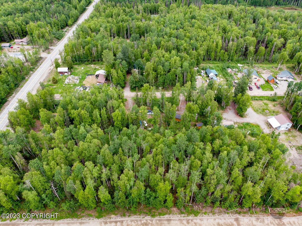 Willow, AK 99688,24622 N Otter Lake LOOP