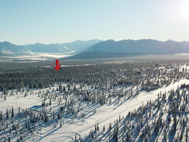 Chickaloon, AK 99674,3398 E My Reka AVE