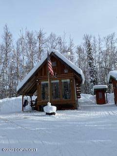 Willow, AK 99688,11319 N Blue Sky RD