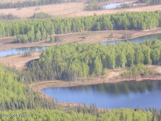 Skwentna, AK 99000,Tr C Josh Lake