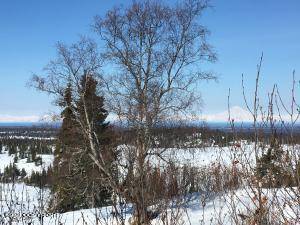 Ninilchik, AK 99639,000 Towe AVE