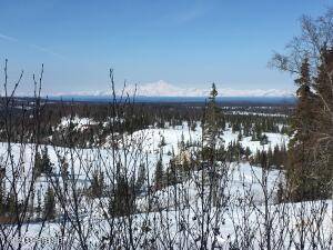 Ninilchik, AK 99639,000 Towe AVE