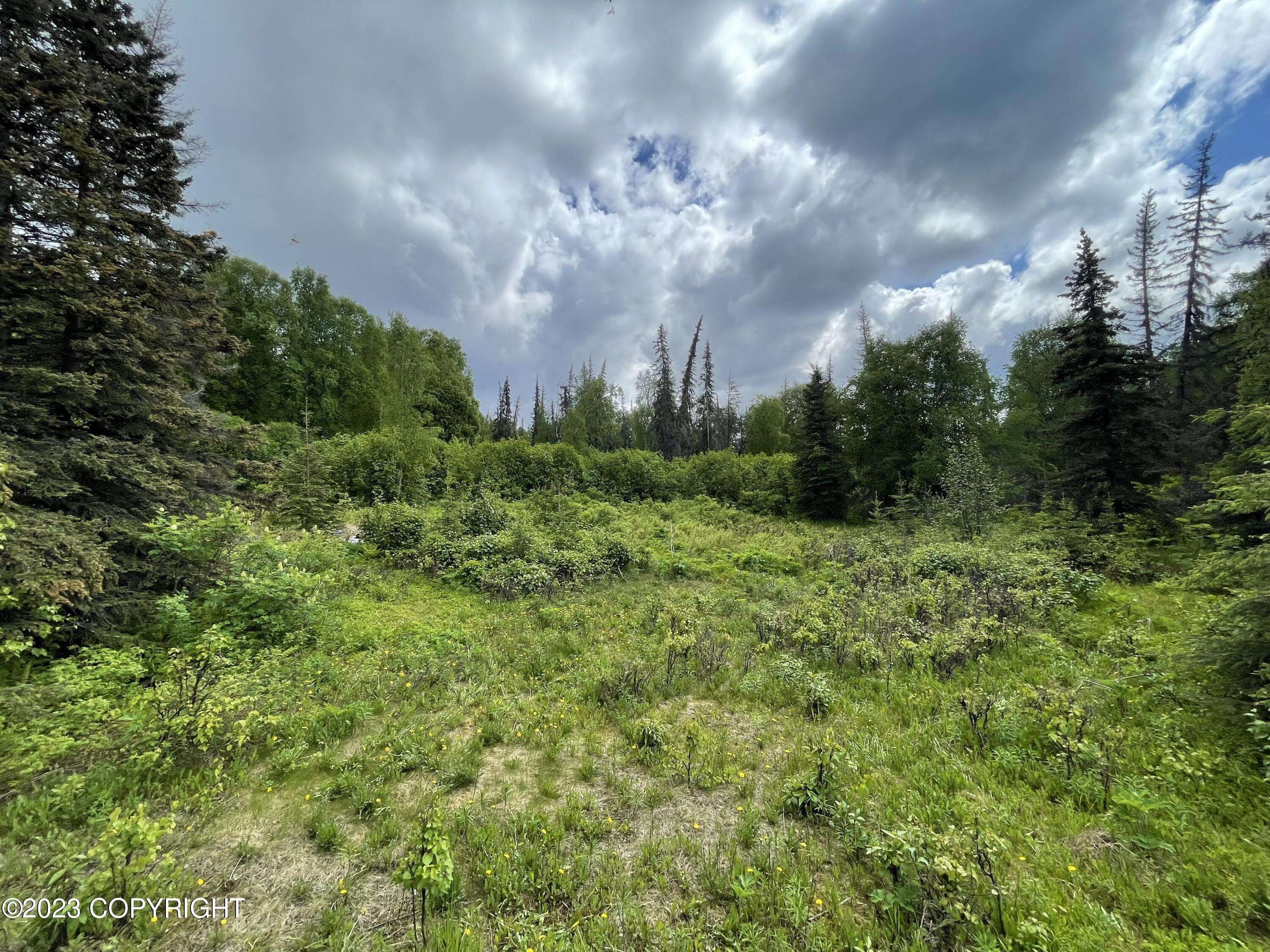 Willow, AK 99688,Lot 5A Willa's Way