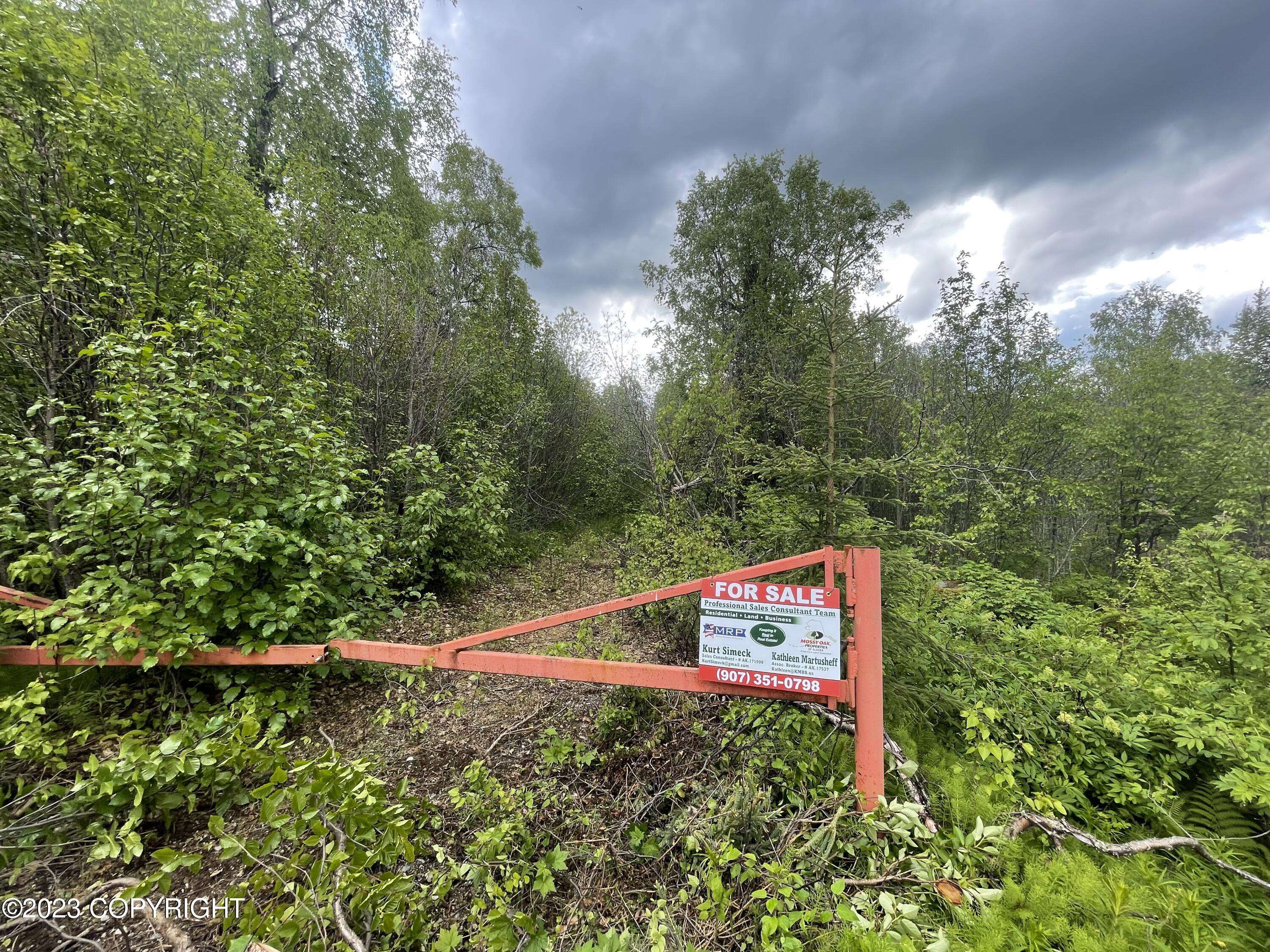 Willow, AK 99688,Lot 5A Willa's Way