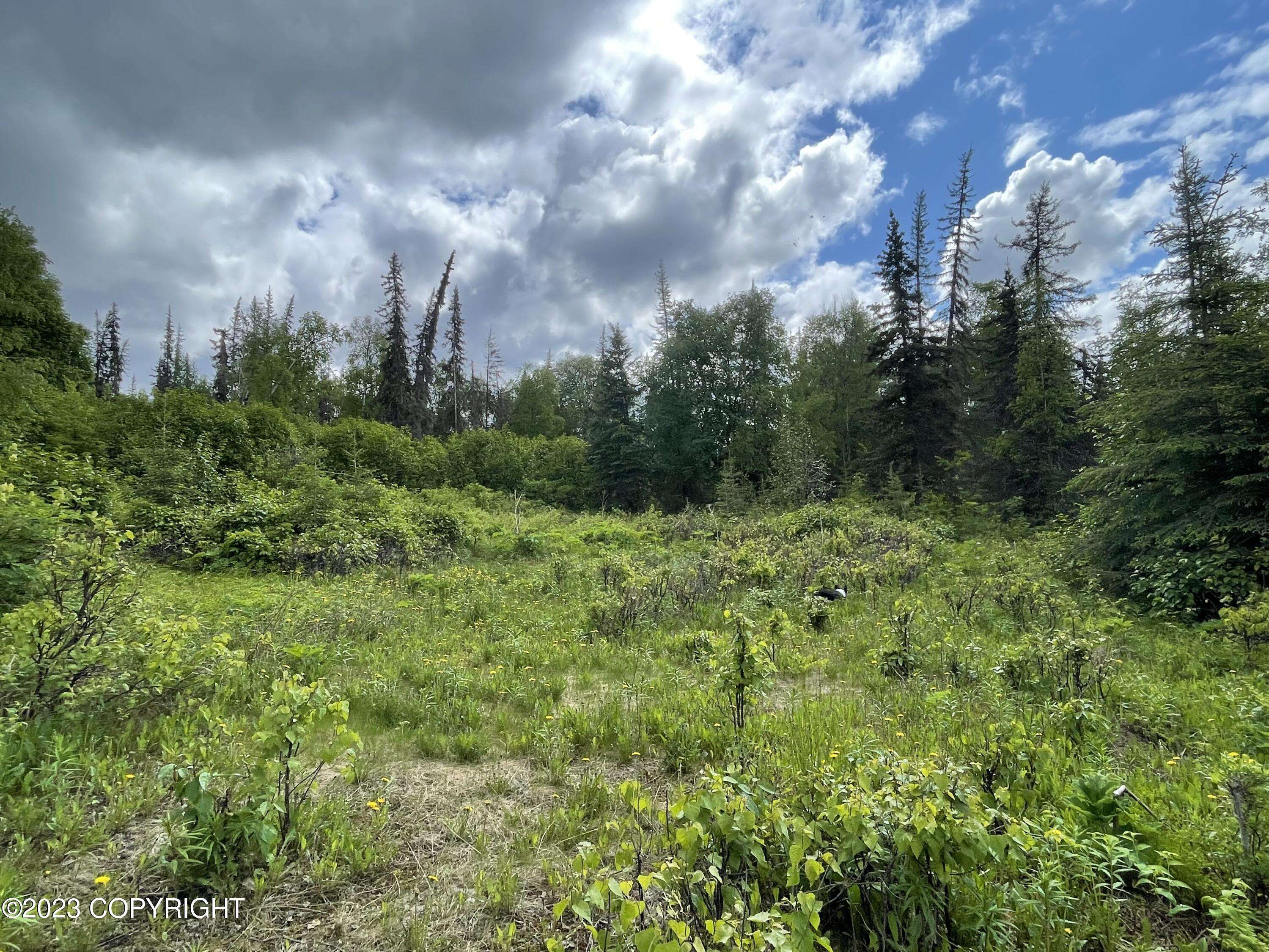 Willow, AK 99688,Lot 5A Willa's Way