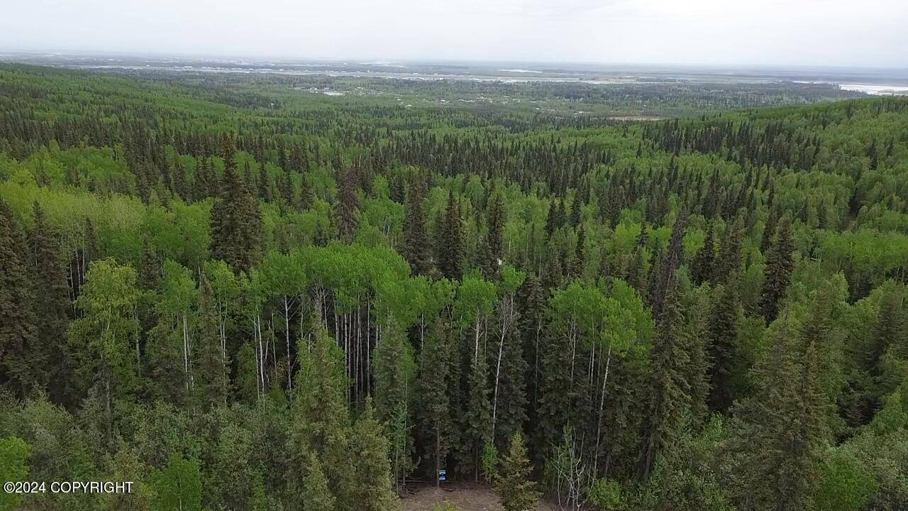 Fairbanks, AK 99709,L20B5 Forrest DR