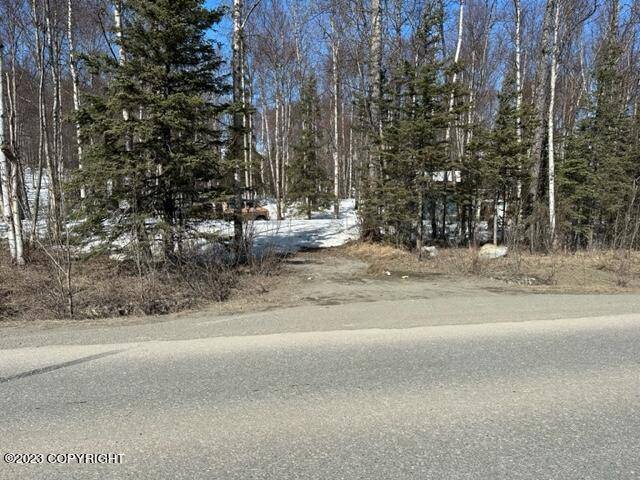 Wasilla, AK 99654,5330 N Wasilla-Fishhook RD