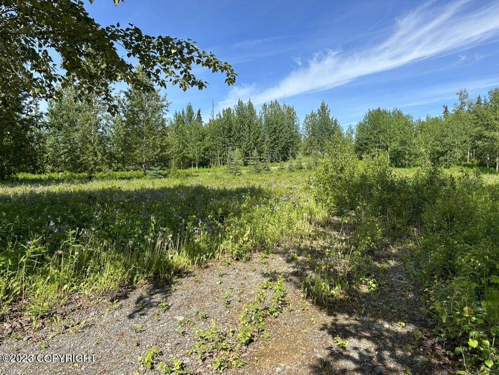 Ninilchik, AK 99639,63805 Evergreen LOOP