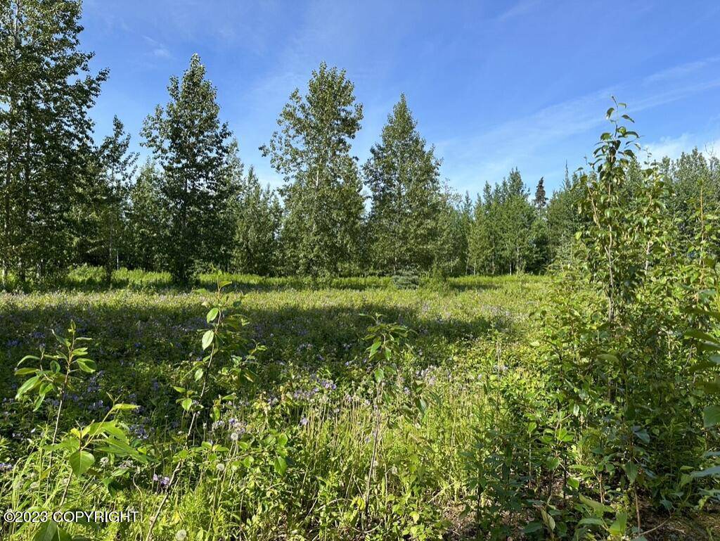 Ninilchik, AK 99639,63805 Evergreen LOOP