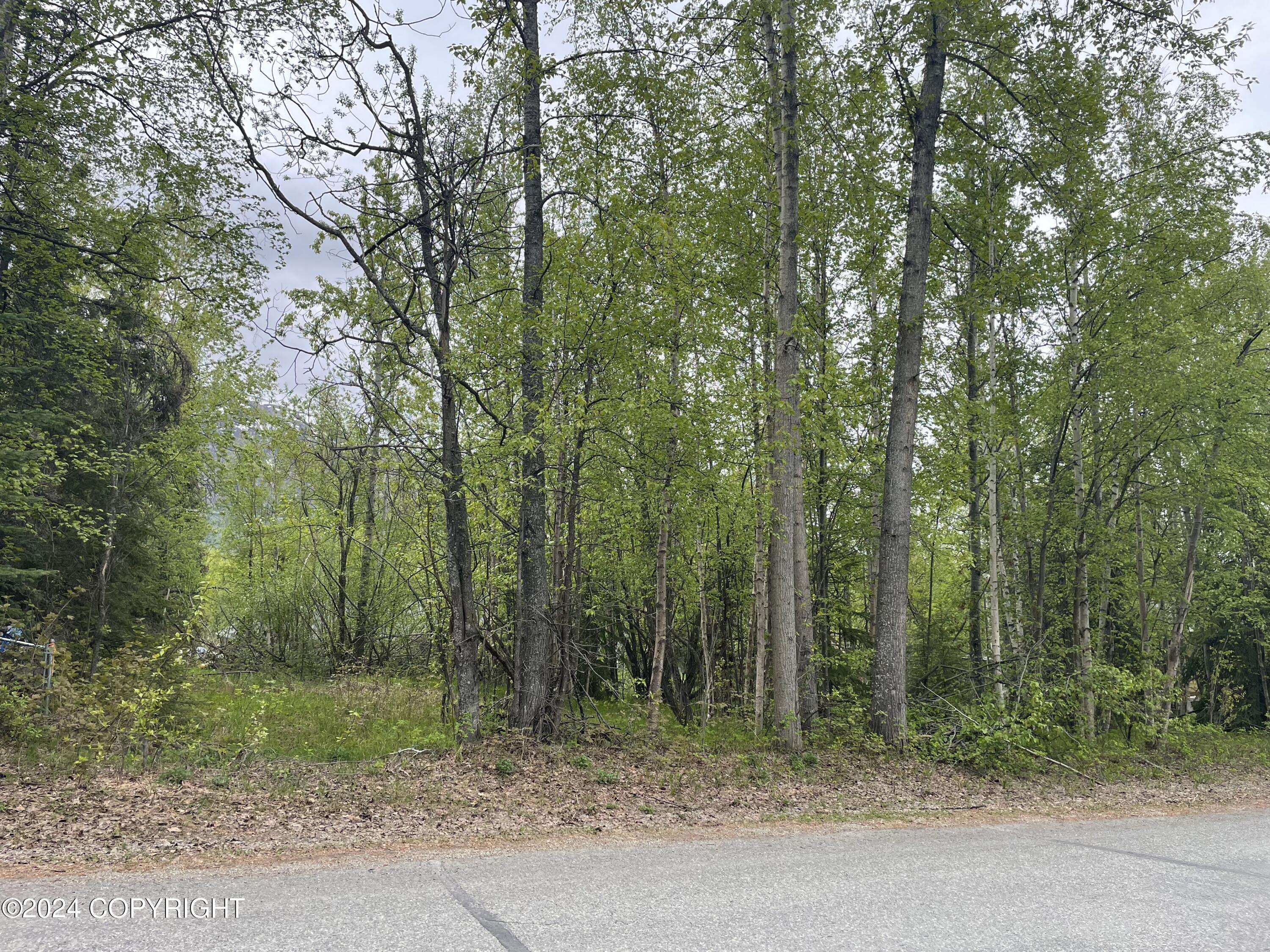 Eagle River, AK 99577,L69 First ST