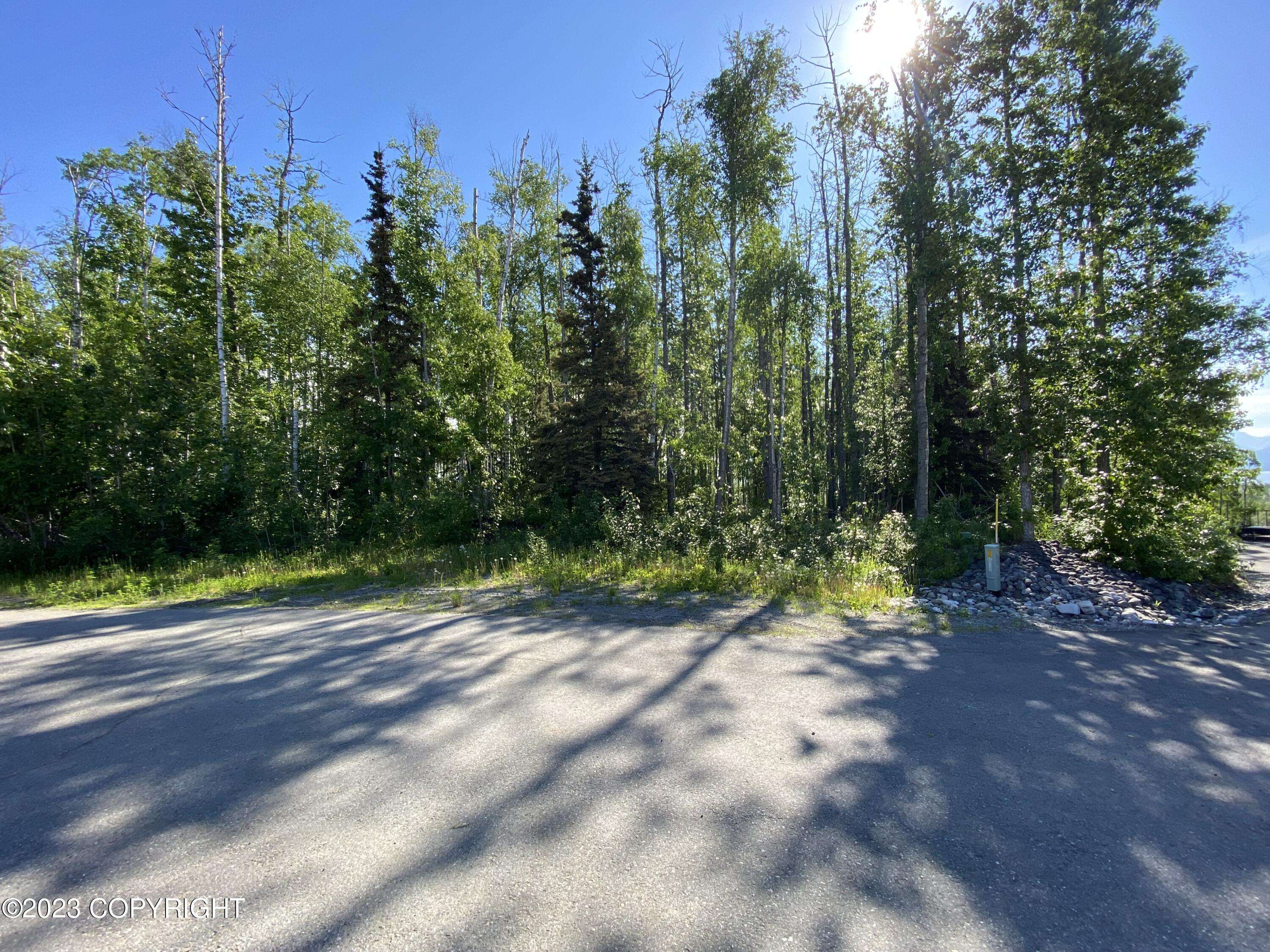 Wasilla, AK 99654,7574 W Overview CIR