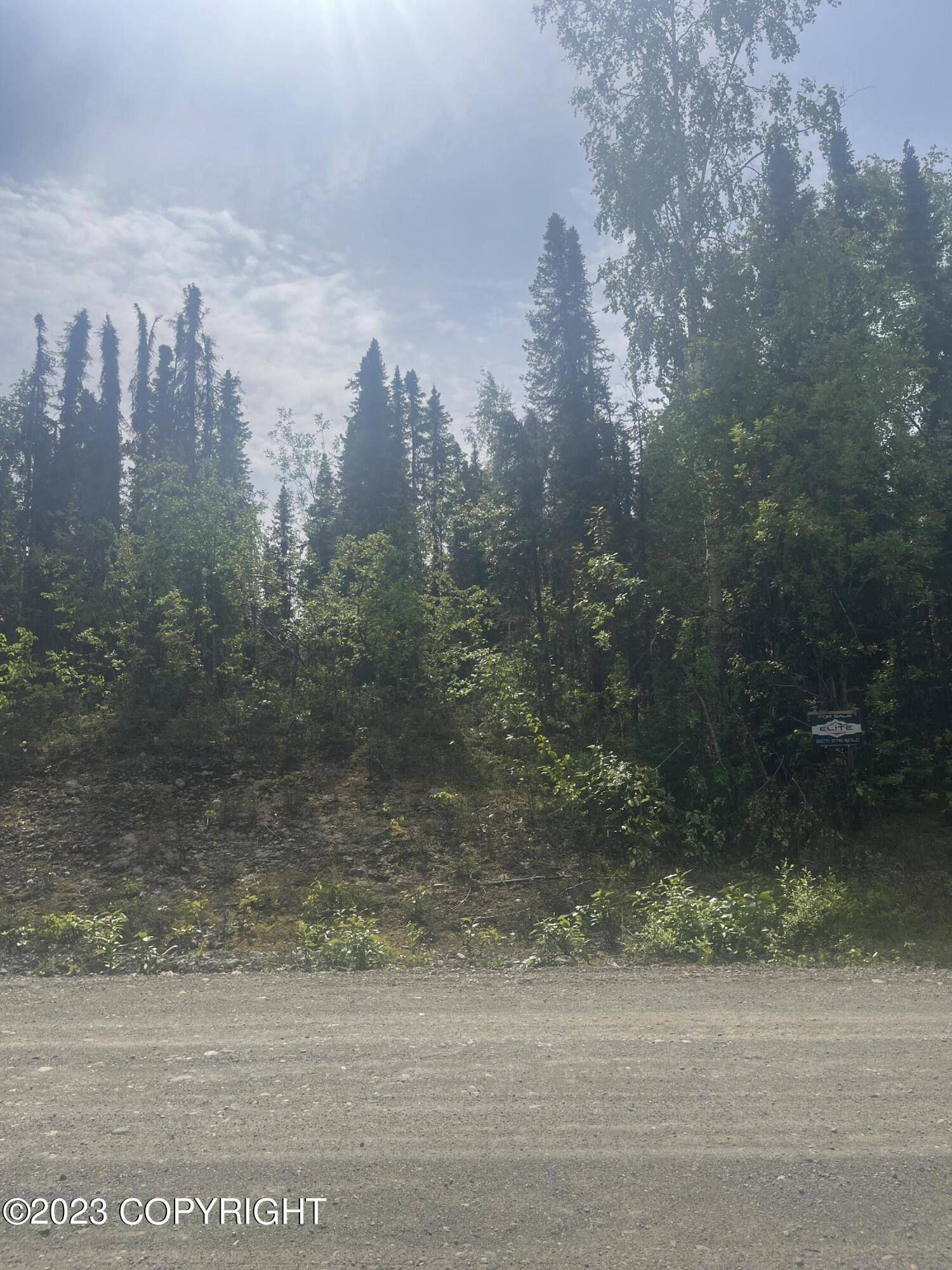 Willow, AK 99688,13892 E Mckinley DR
