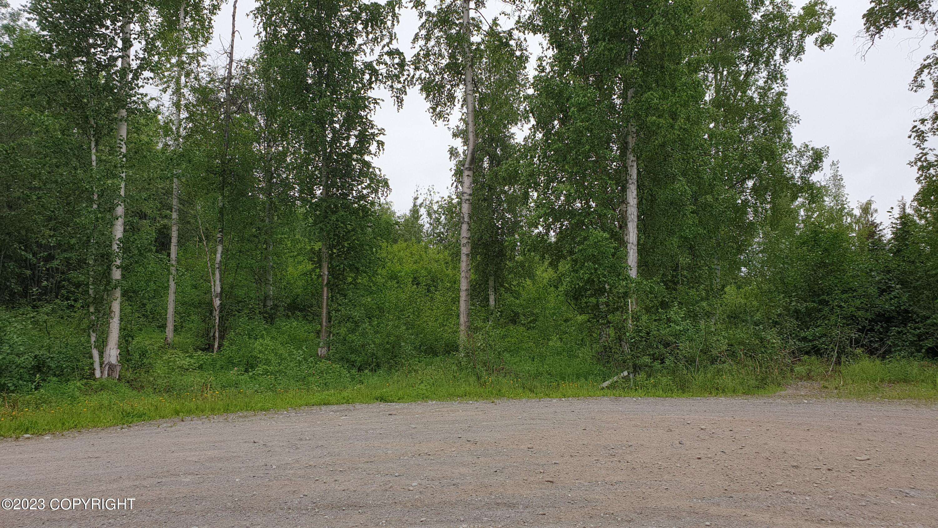 Big Lake, AK 99652,13835 W Halston AVE