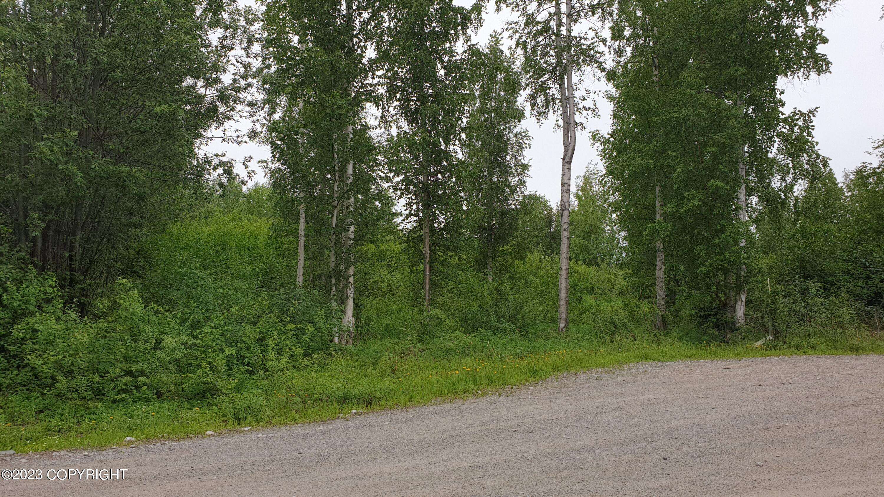 Big Lake, AK 99652,13835 W Halston AVE