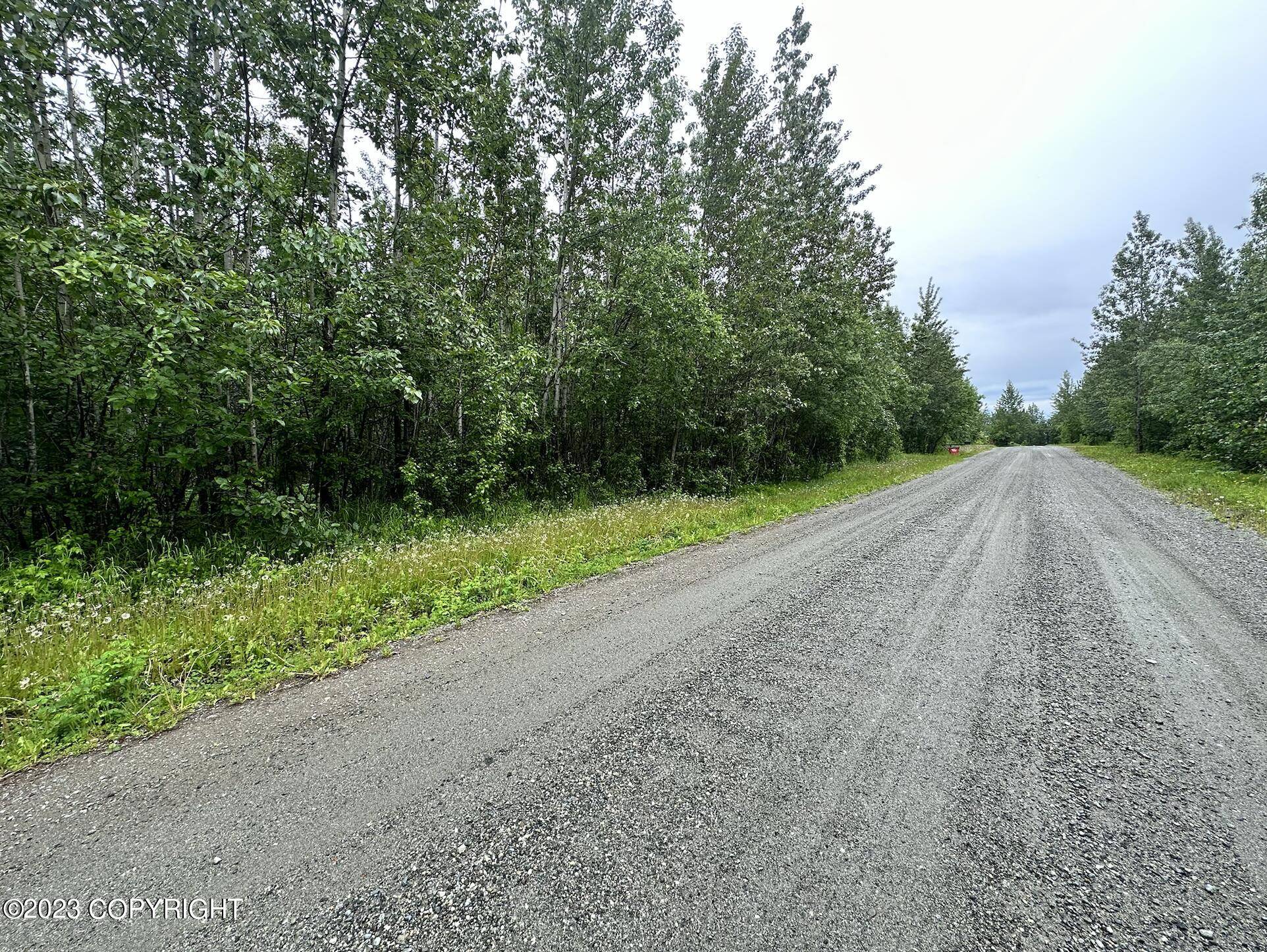 Wasilla, AK 99654,2201 E Phainopepla CIR