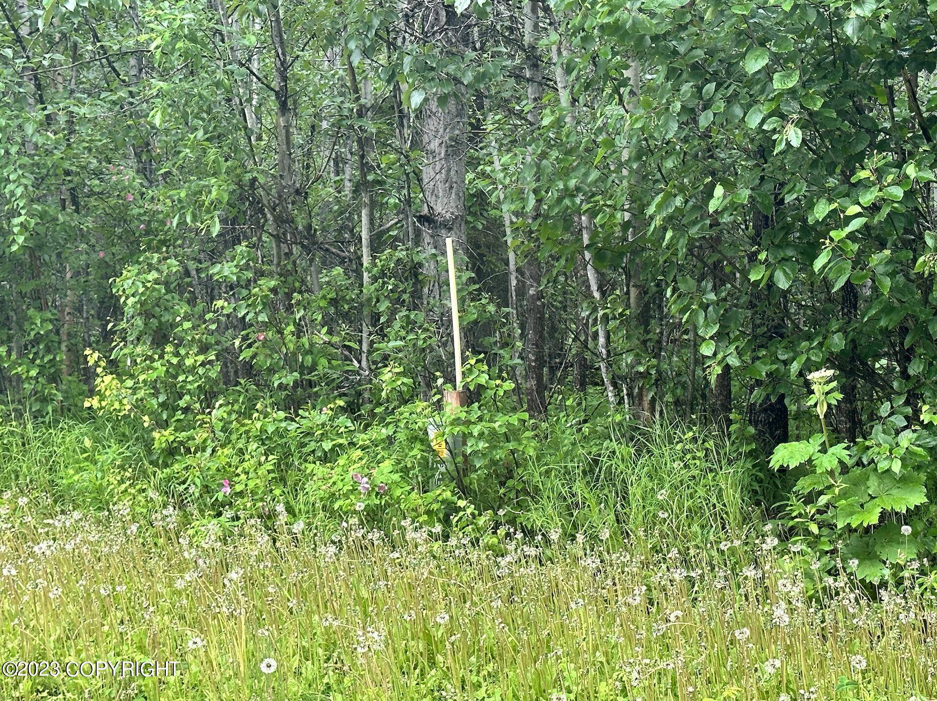 Wasilla, AK 99654,2201 E Phainopepla CIR