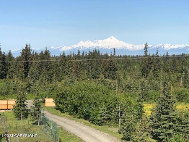 Ninilchik, AK 99639,21720 Twilight ST