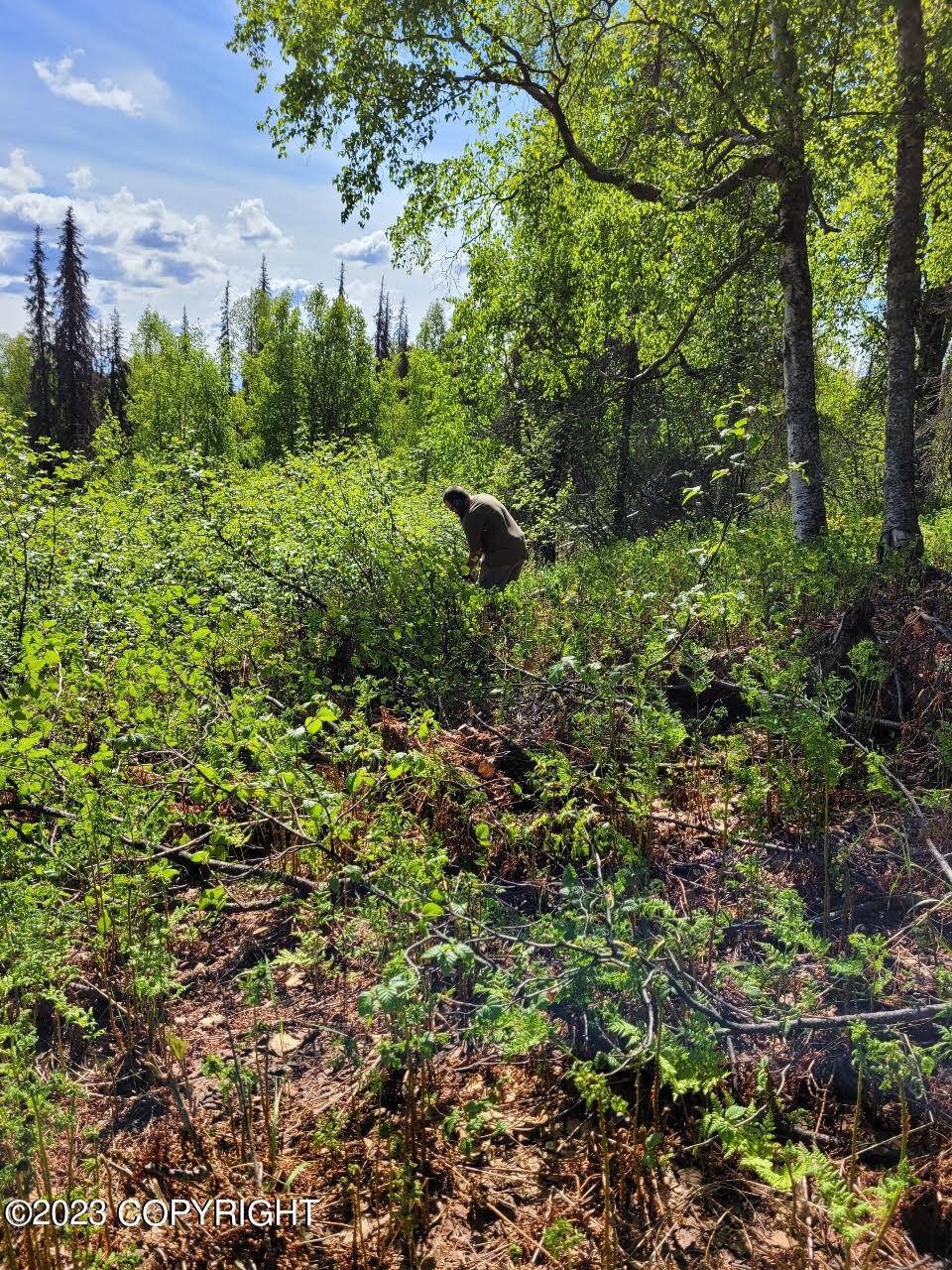 Trapper Creek, AK 99683,9330 S Kenny Creek LOOP