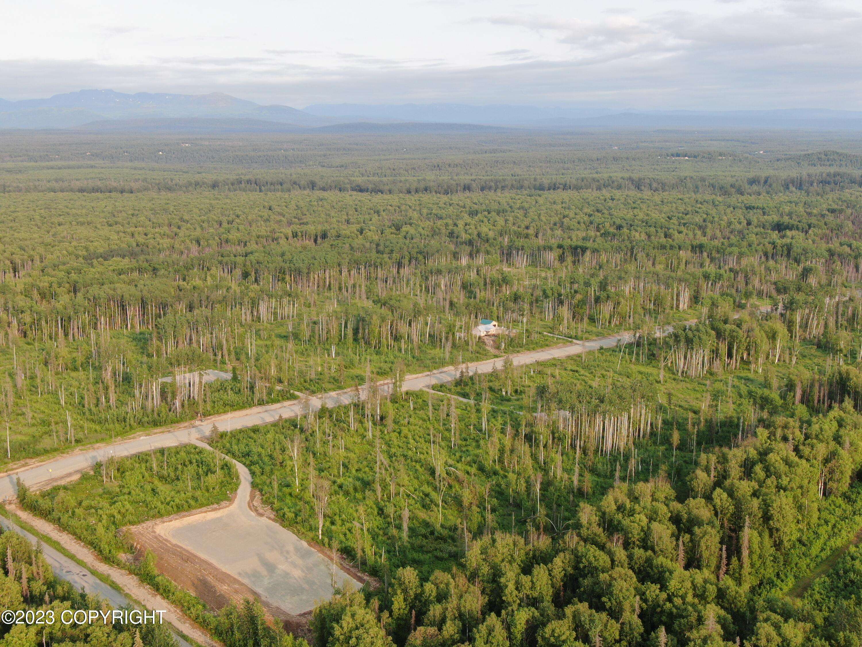 Talkeetna, AK 99676,31246 S Salmon Alley ST