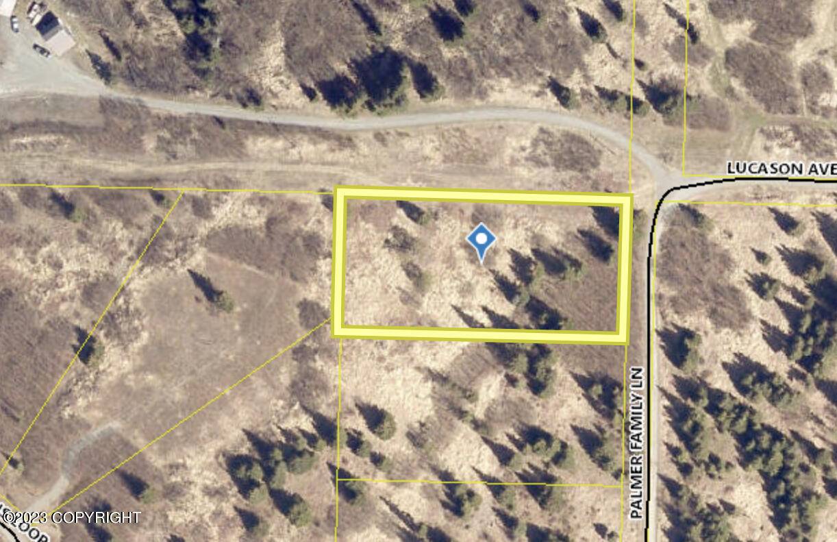 Ninilchik, AK 99639,17021 Palmer Family LN