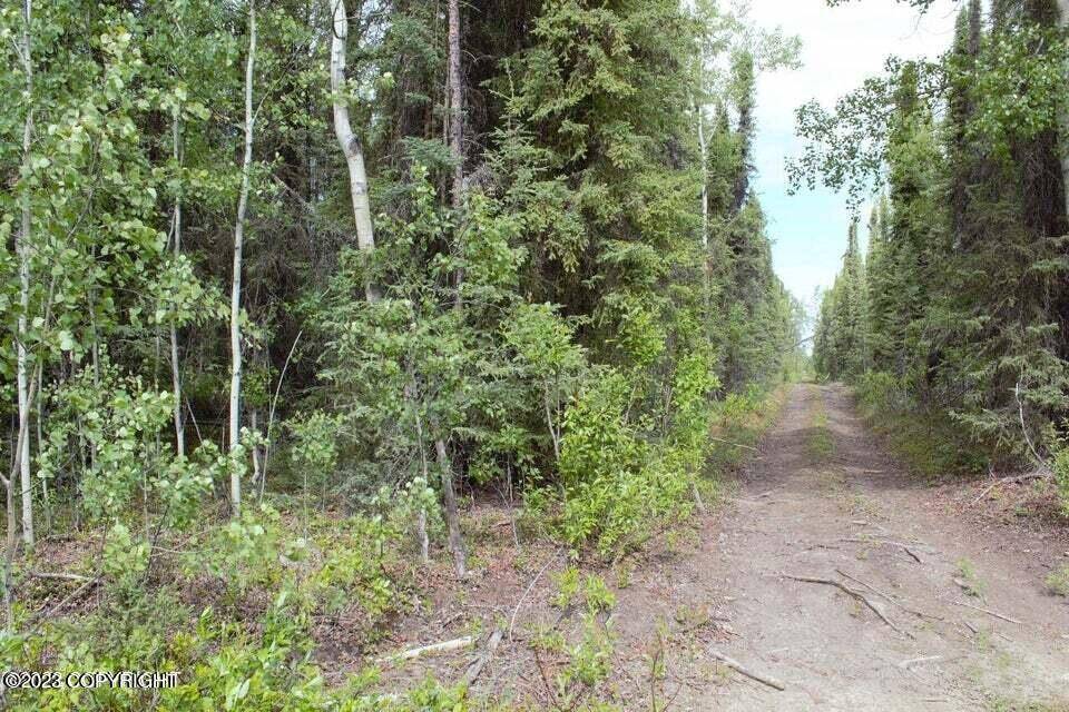 Soldotna, AK 99669,Lot 14D Shady Acres