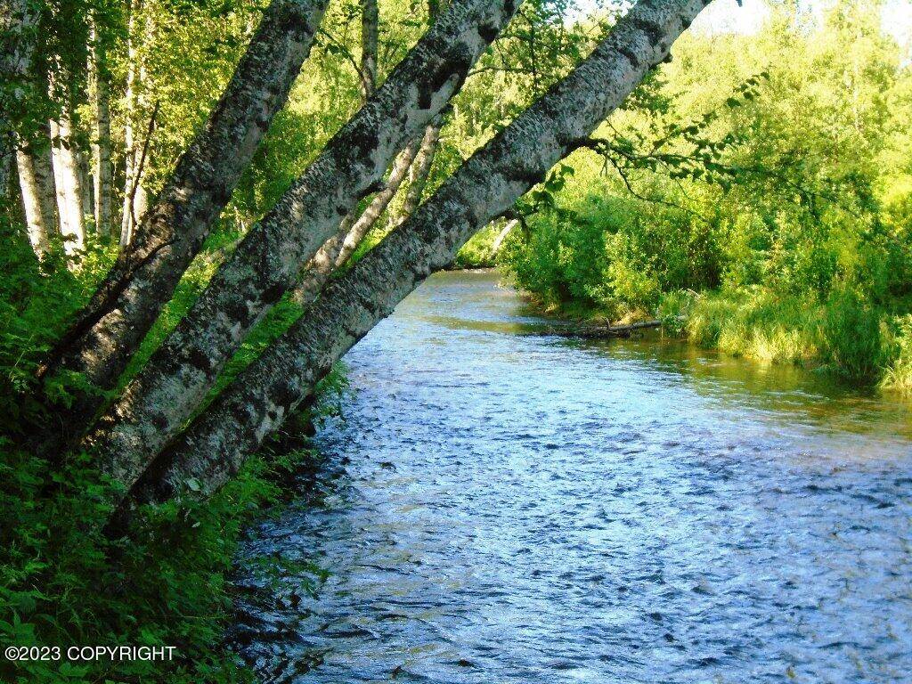 Talkeetna, AK 99676,Tr A Mi 93 S Parks HWY