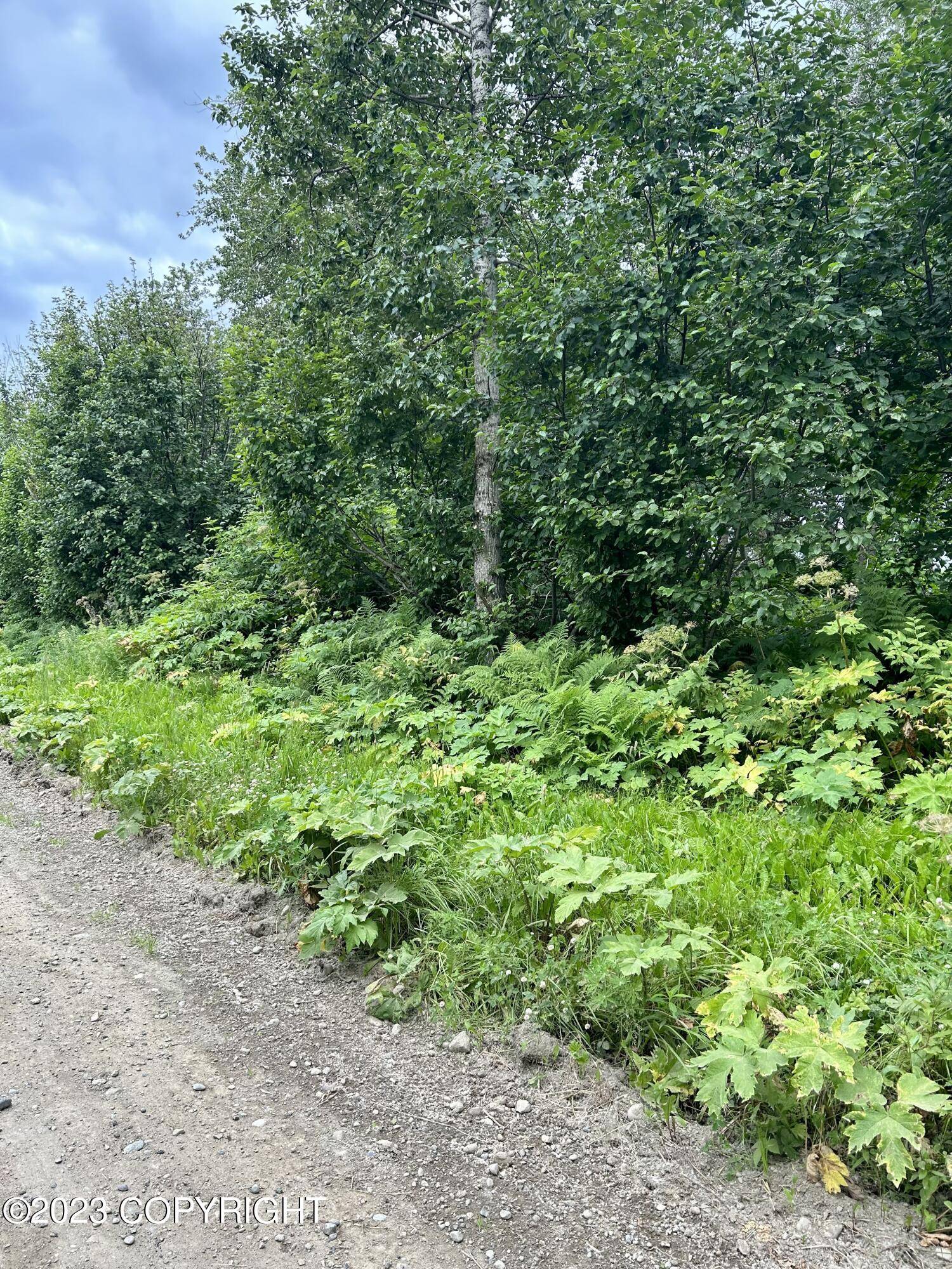 Nikiski/north Kenai, AK 99635,52190 Wik RD