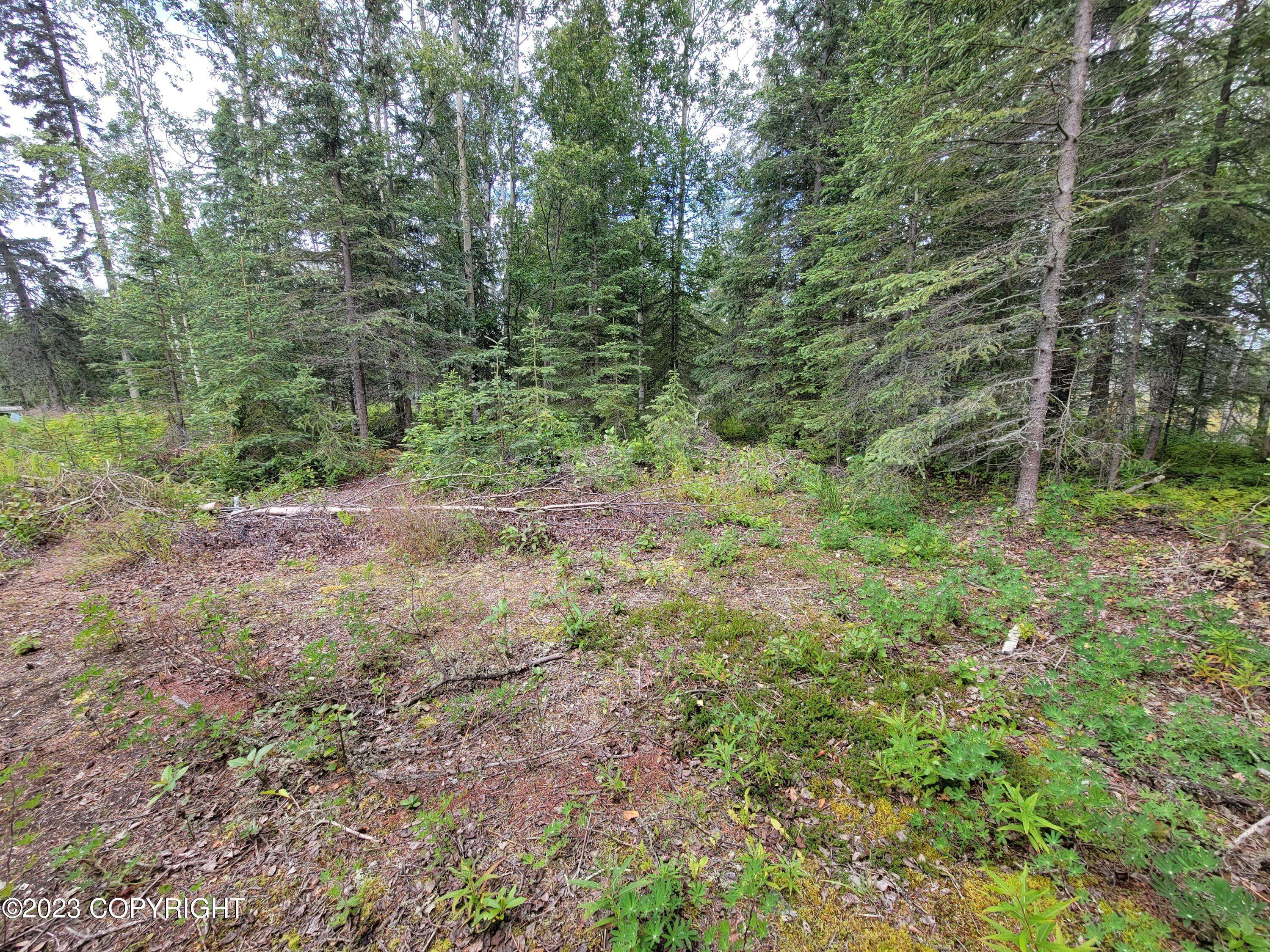 Nikiski/north Kenai, AK 99635,L20&21 Baranoff CIR