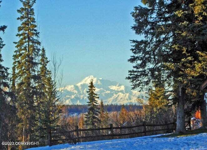 Talkeetna, AK 99676,40327 S Malaspina LOOP