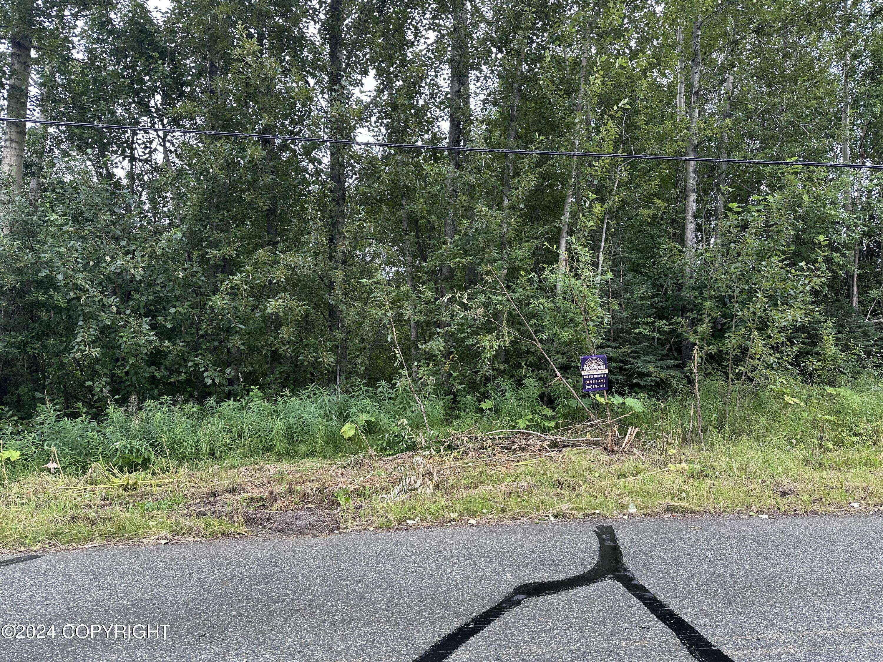 Palmer, AK 99645,3355 Seagull DR