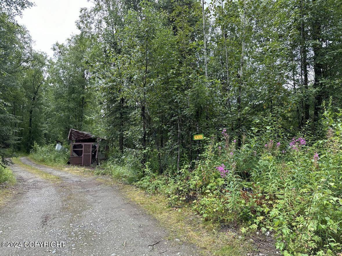 Talkeetna, AK 99676,14702 E Love Lee Lane