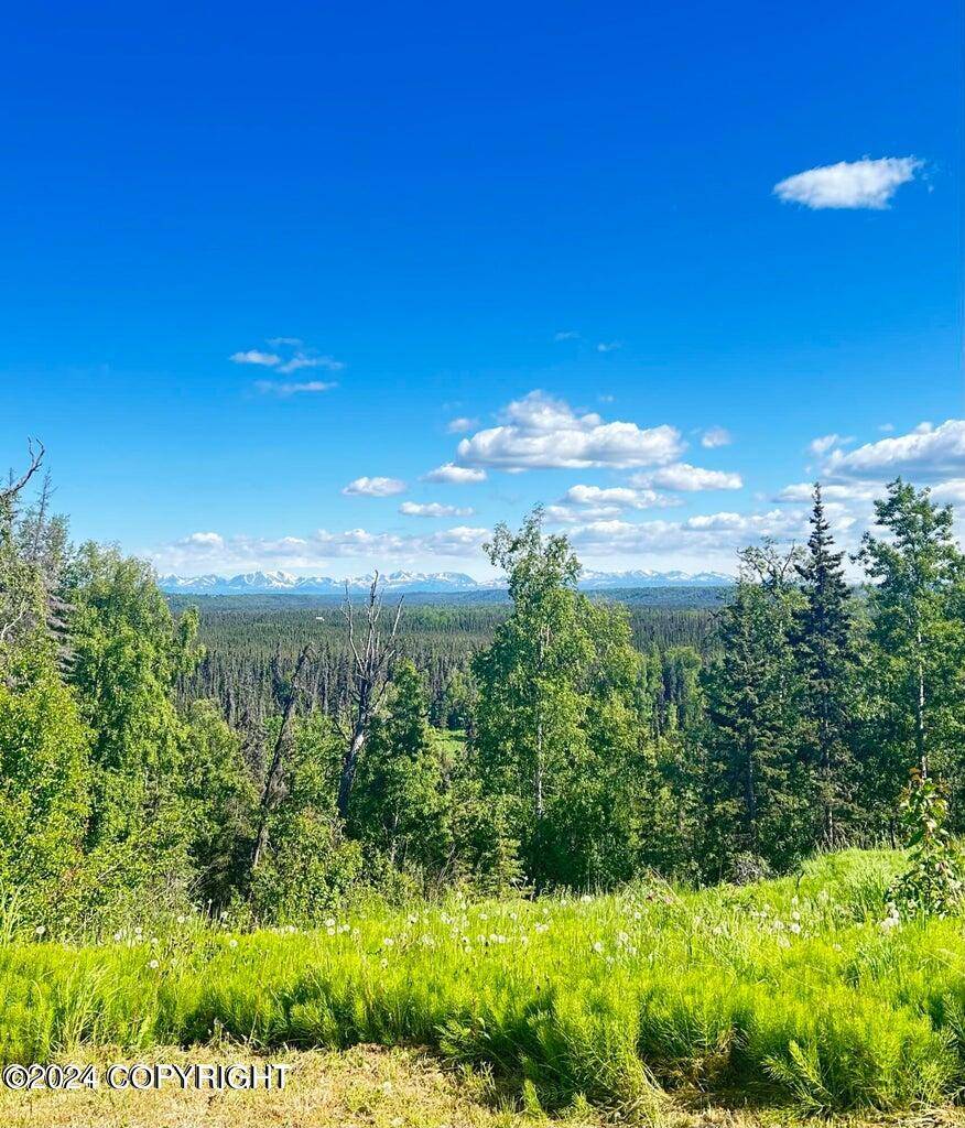 Nikiski/north Kenai, AK 99635,L3 B4 Blockade Glacier RD