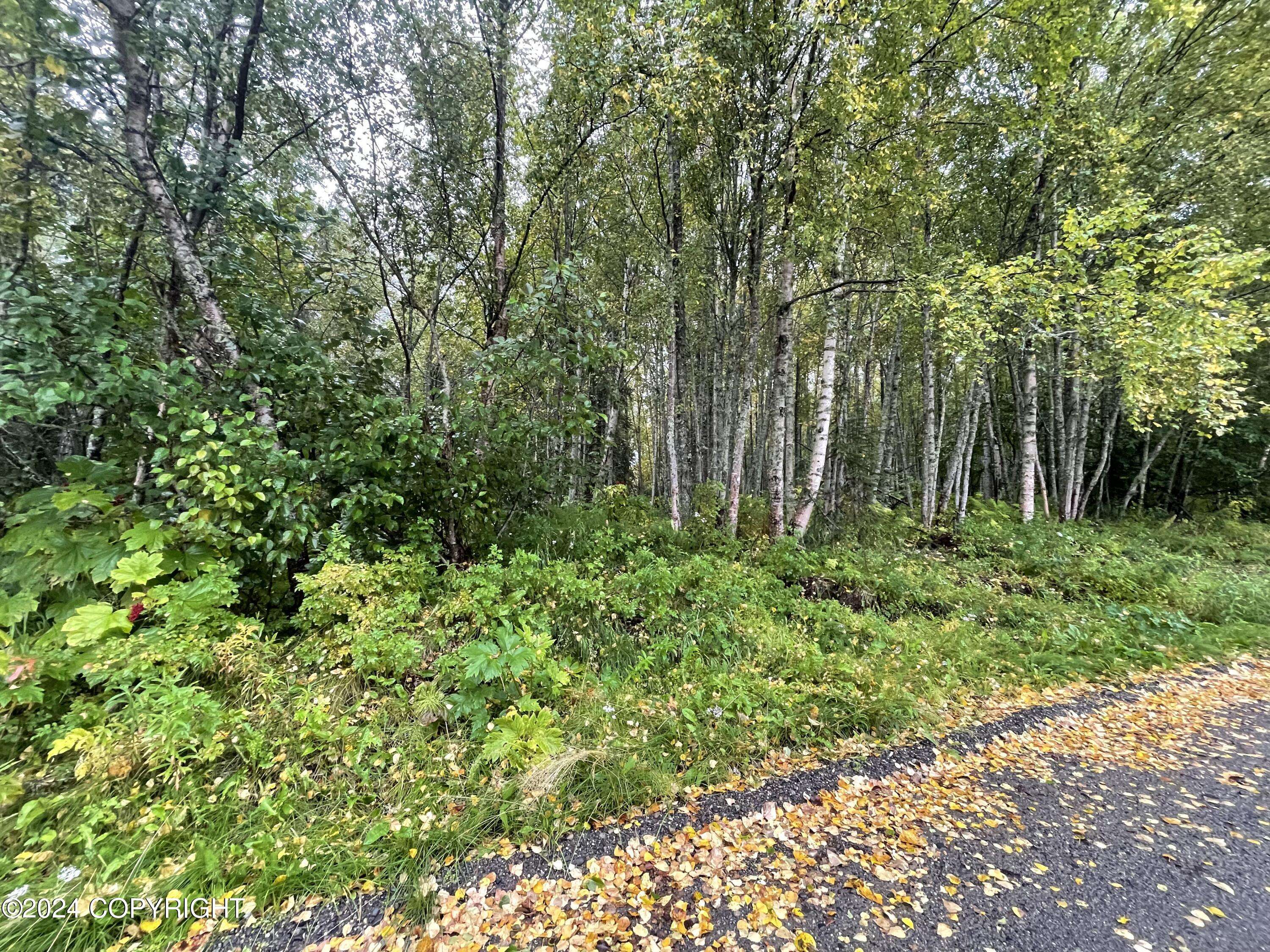 Nikiski/north Kenai, AK 99635,L5 Marlene AVE