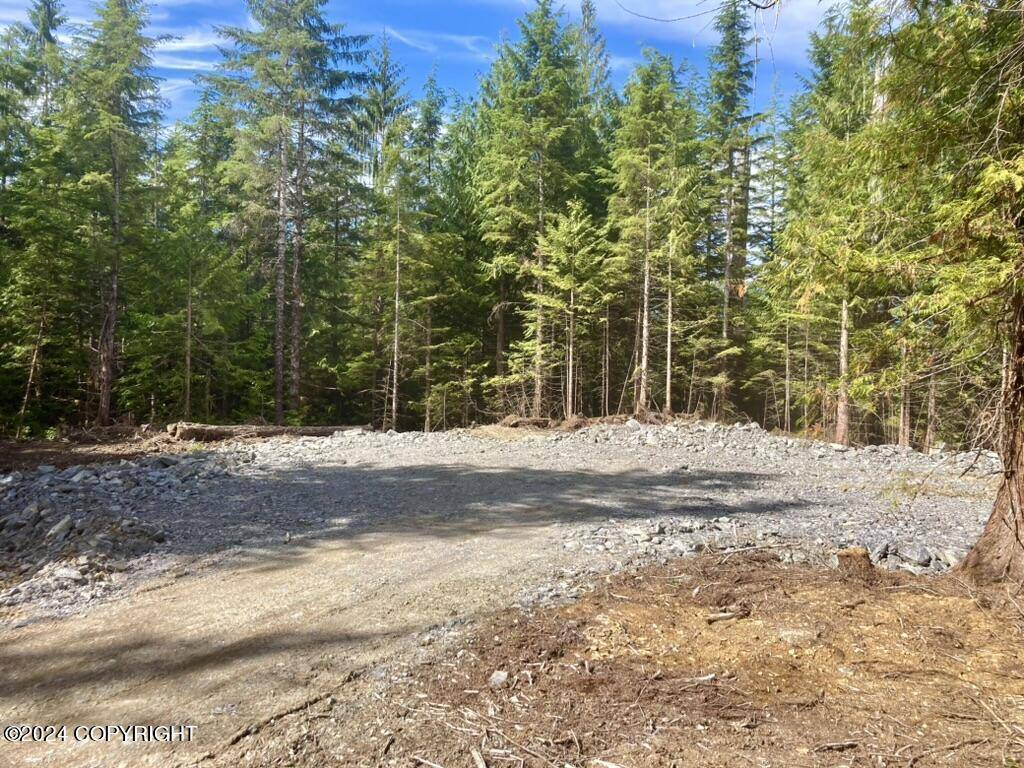 Coffman Cove, AK 99918,L2 Spruce Grove