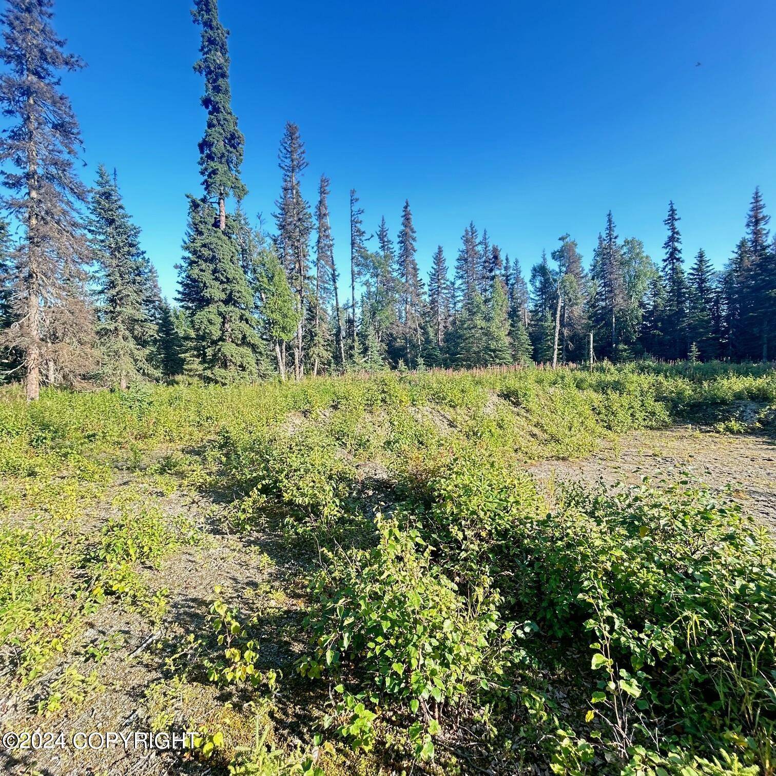 Kenai, AK 99611,000 Panorama AVE