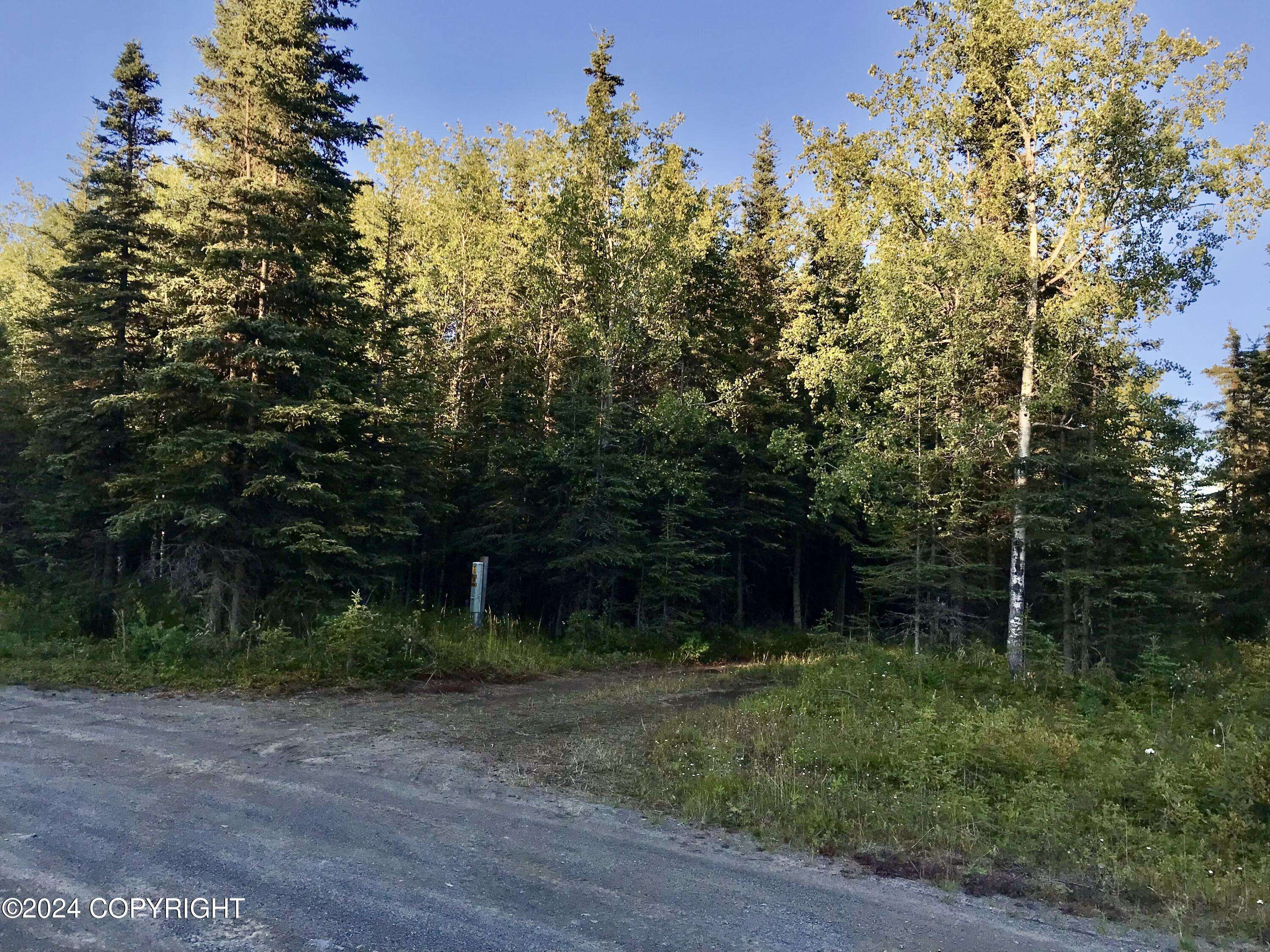 Kasilof, AK 99610,26312 Denise ST