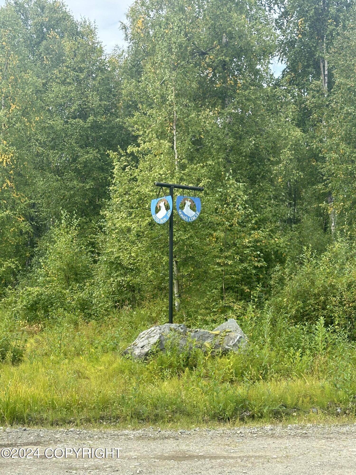 Willow, AK 99688,49365 S Noahs CIR